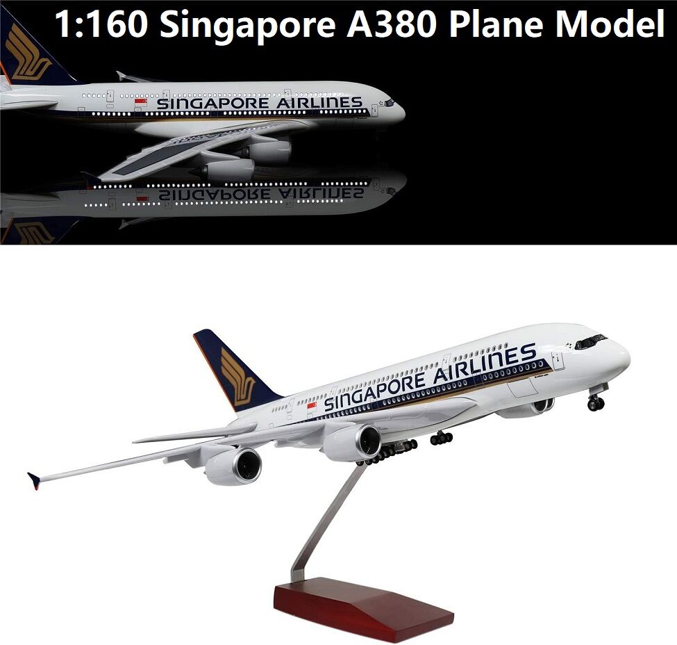 Plane_Singapore-380_.jpg?