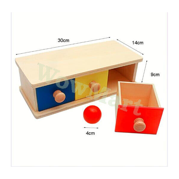 Kid Preschool Montessori Learning Toy Wooden Drawer Box Color Ball Sensory Match -